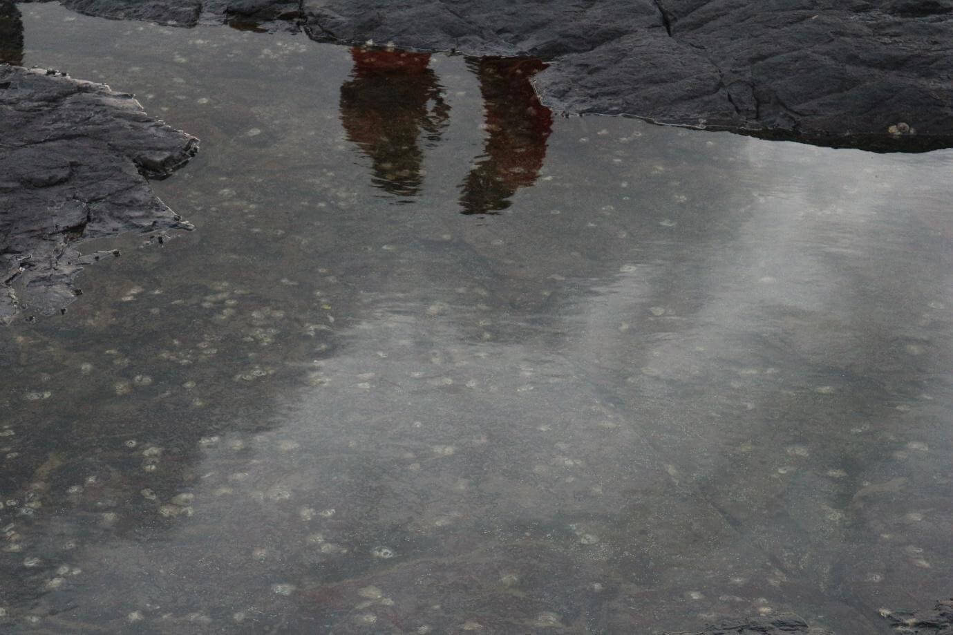 A man and a woman standing next to each other are reflected in a pool of water gathered in the rocks.